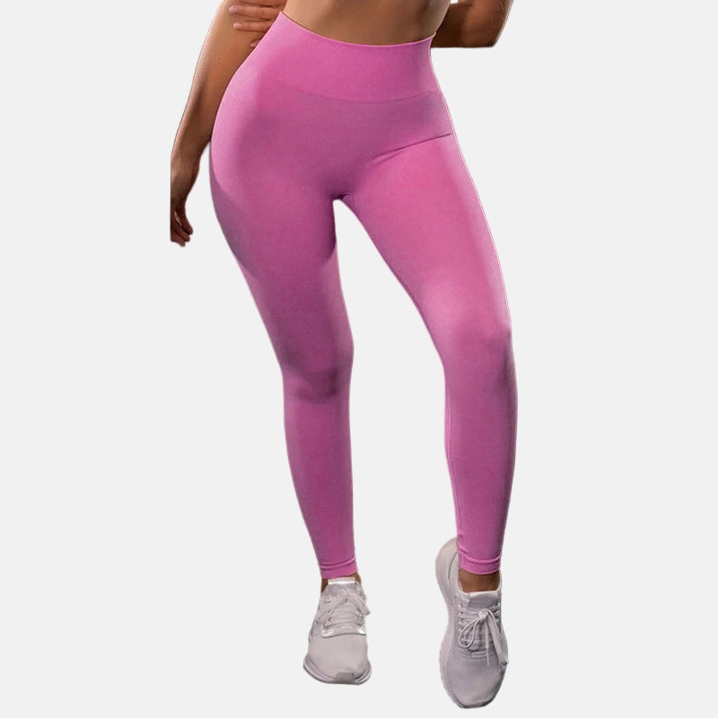 Seamless Yoga Sport Set Fitness Women Running Leggings Short Sleeve Tops