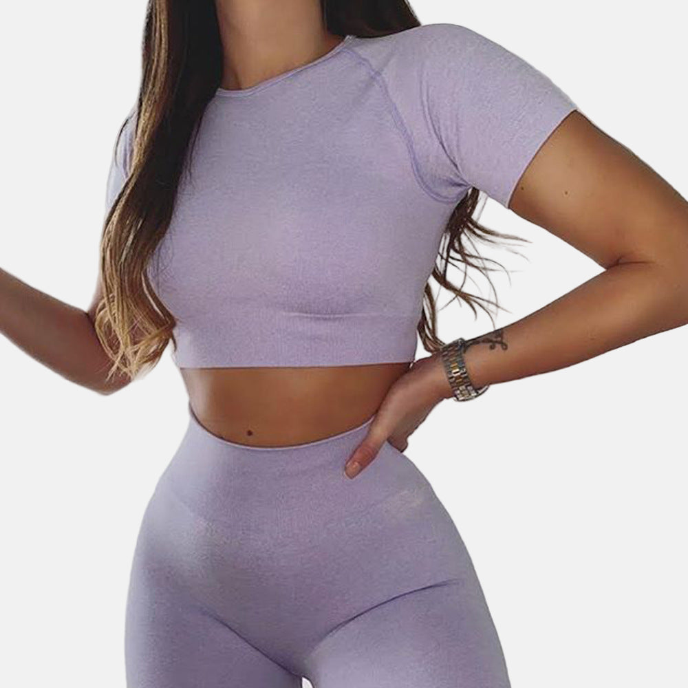 Seamless Yoga Sport Set Fitness Women Running Leggings Short Sleeve Tops