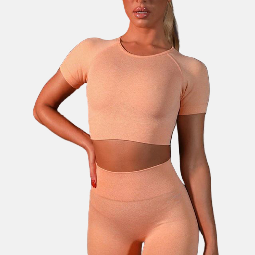 Seamless Yoga Sport Set Fitness Women Running Leggings Short Sleeve Tops