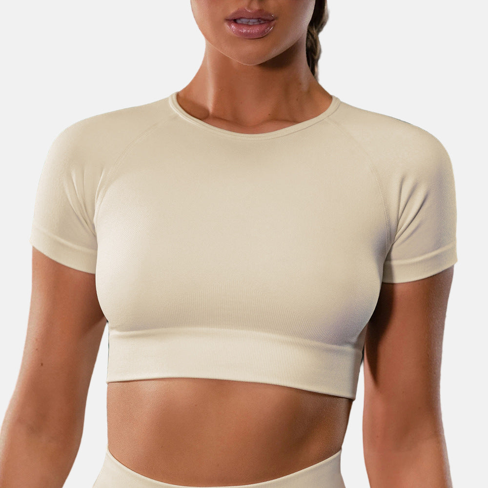 Seamless Yoga Sport Set Fitness Women Running Leggings Short Sleeve Tops