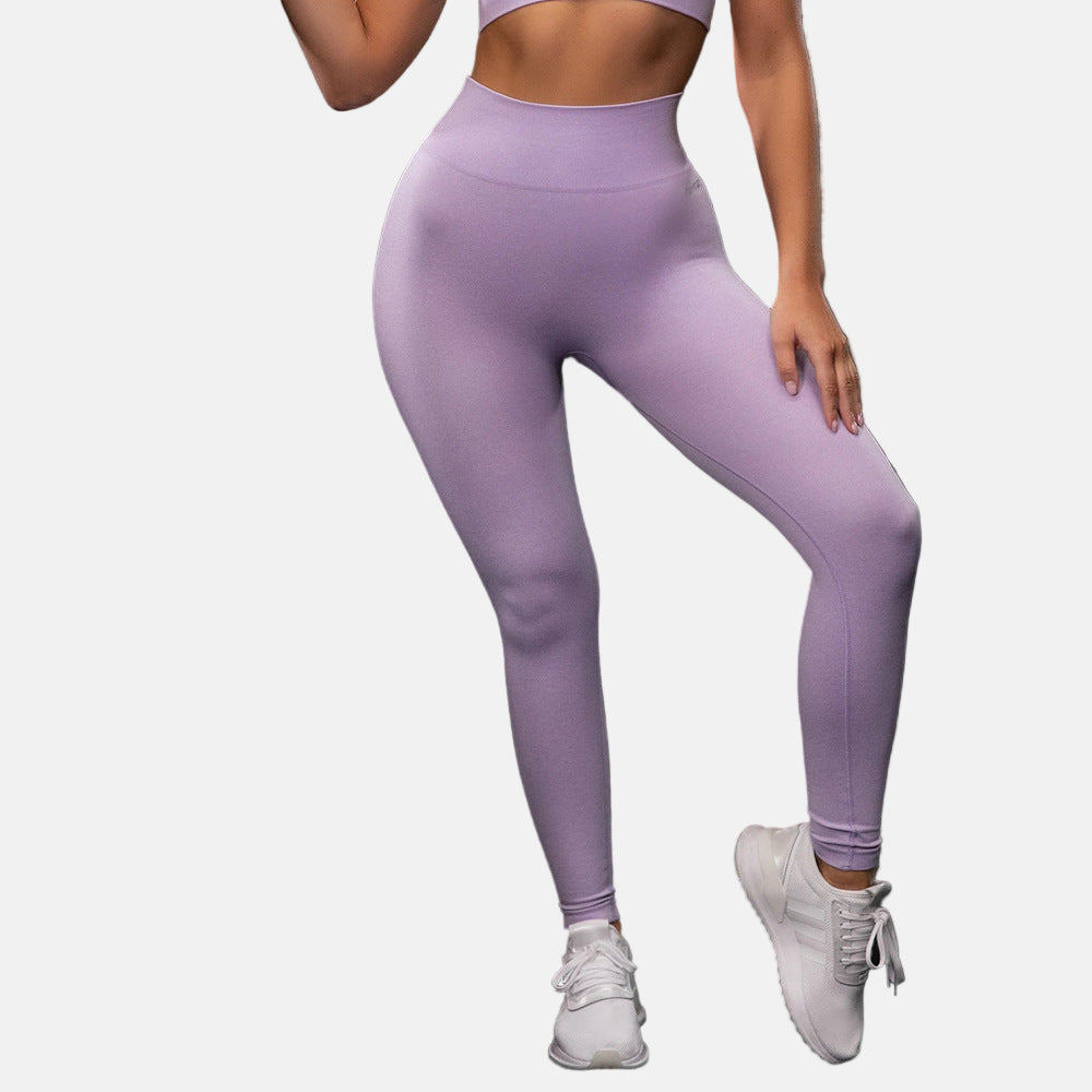 Seamless Yoga Sport Set Fitness Women Running Leggings Short Sleeve Tops